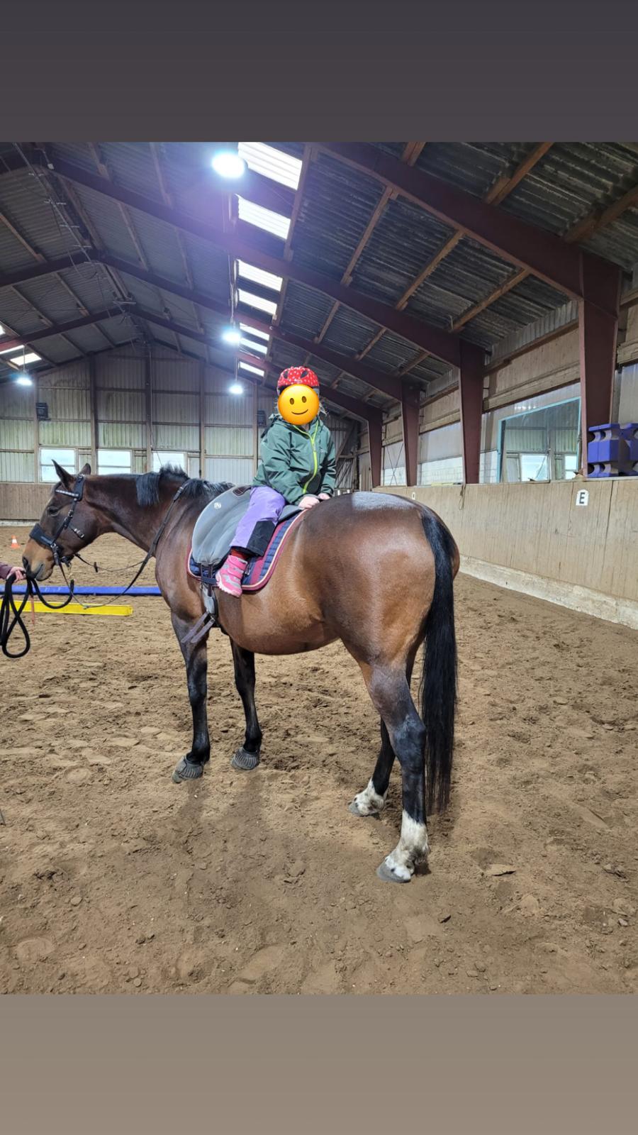 Reittherapie Impression 4