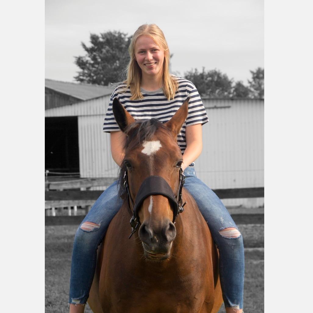 Reittherapie Impression 5