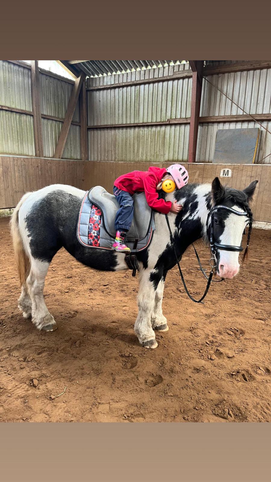 Reittherapie Impression 6